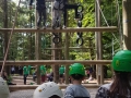 IMG-20180608-WA0021